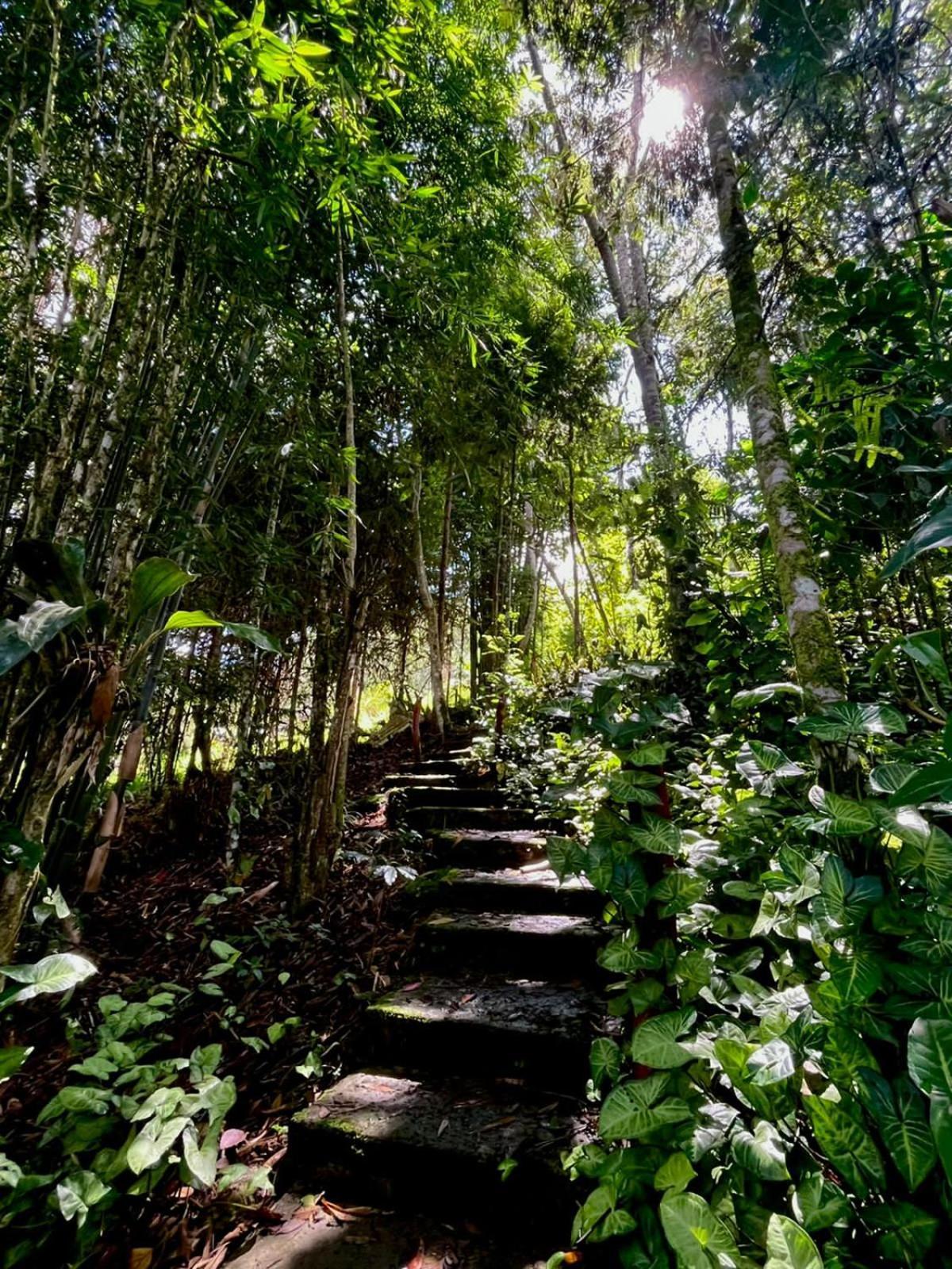 Villa Refugio De Orquideas Oxapampa Esterno foto