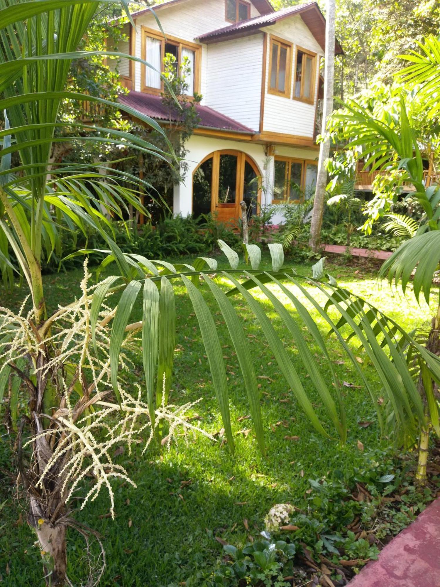Villa Refugio De Orquideas Oxapampa Esterno foto