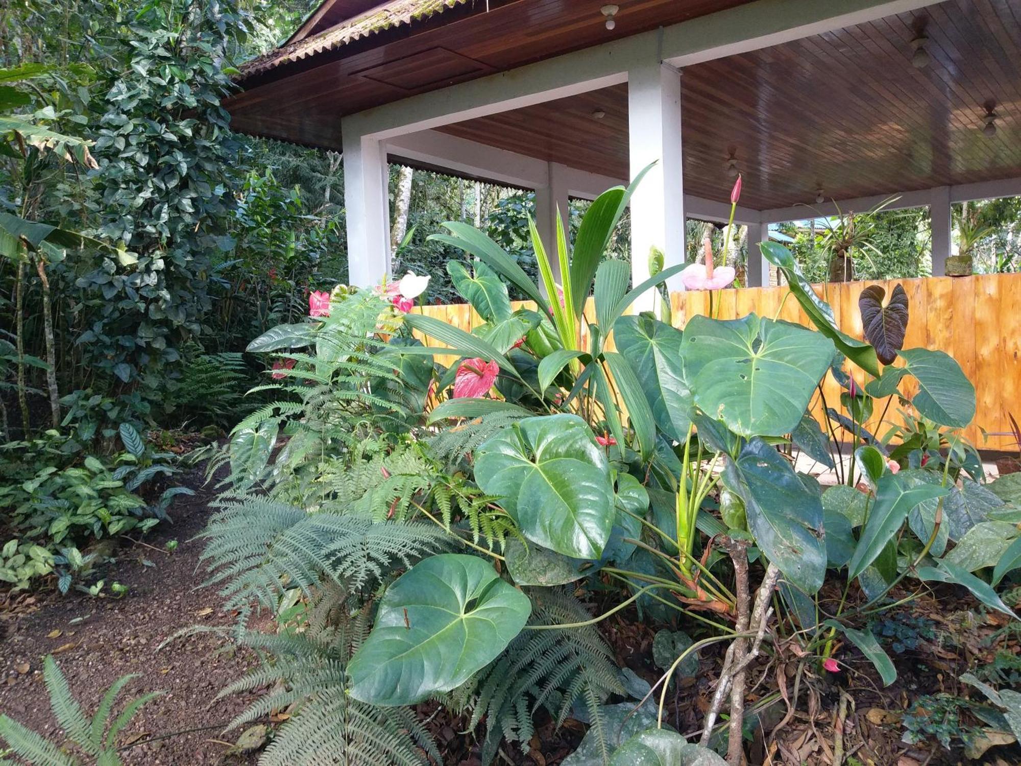 Villa Refugio De Orquideas Oxapampa Esterno foto