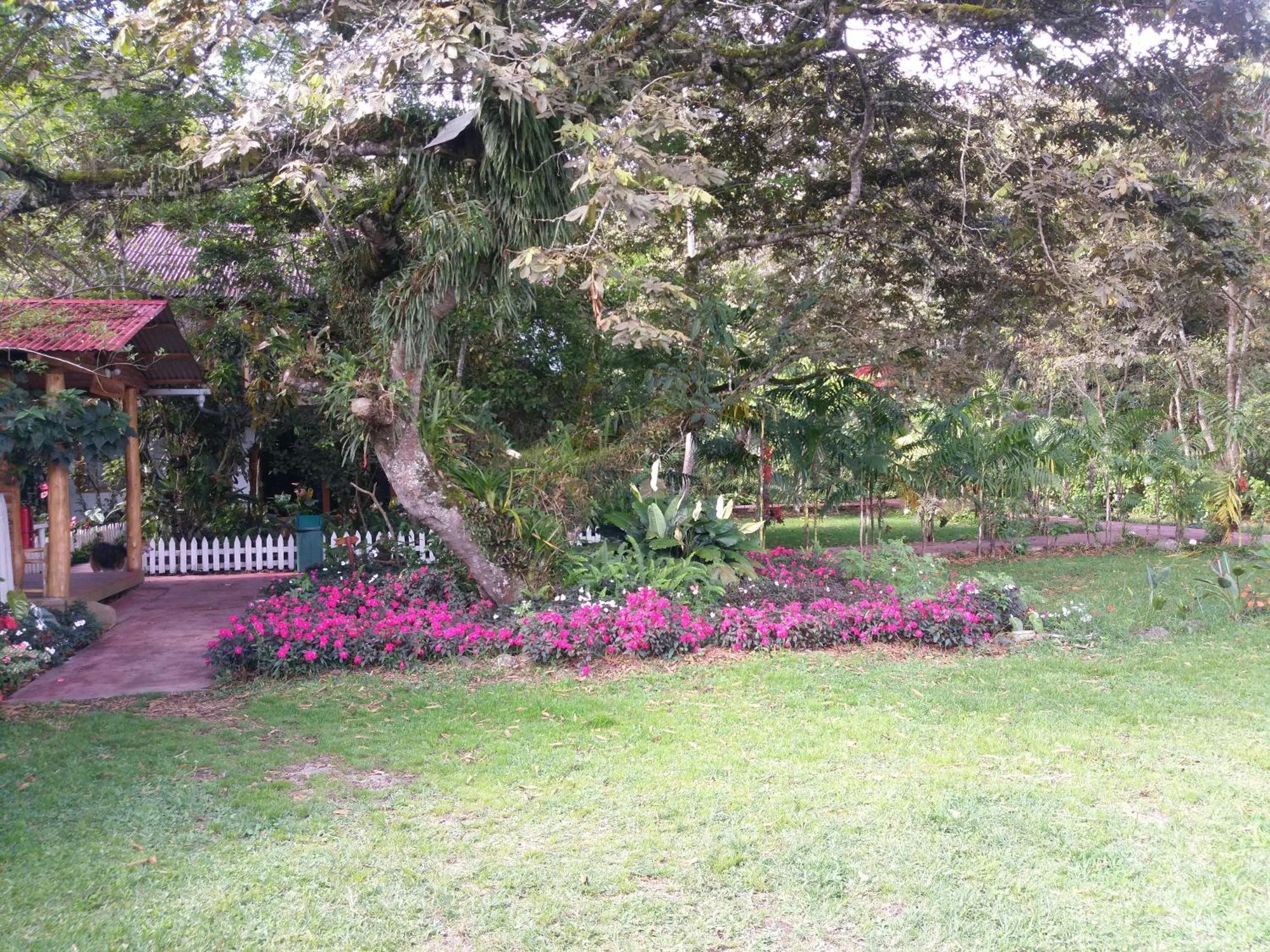 Villa Refugio De Orquideas Oxapampa Esterno foto