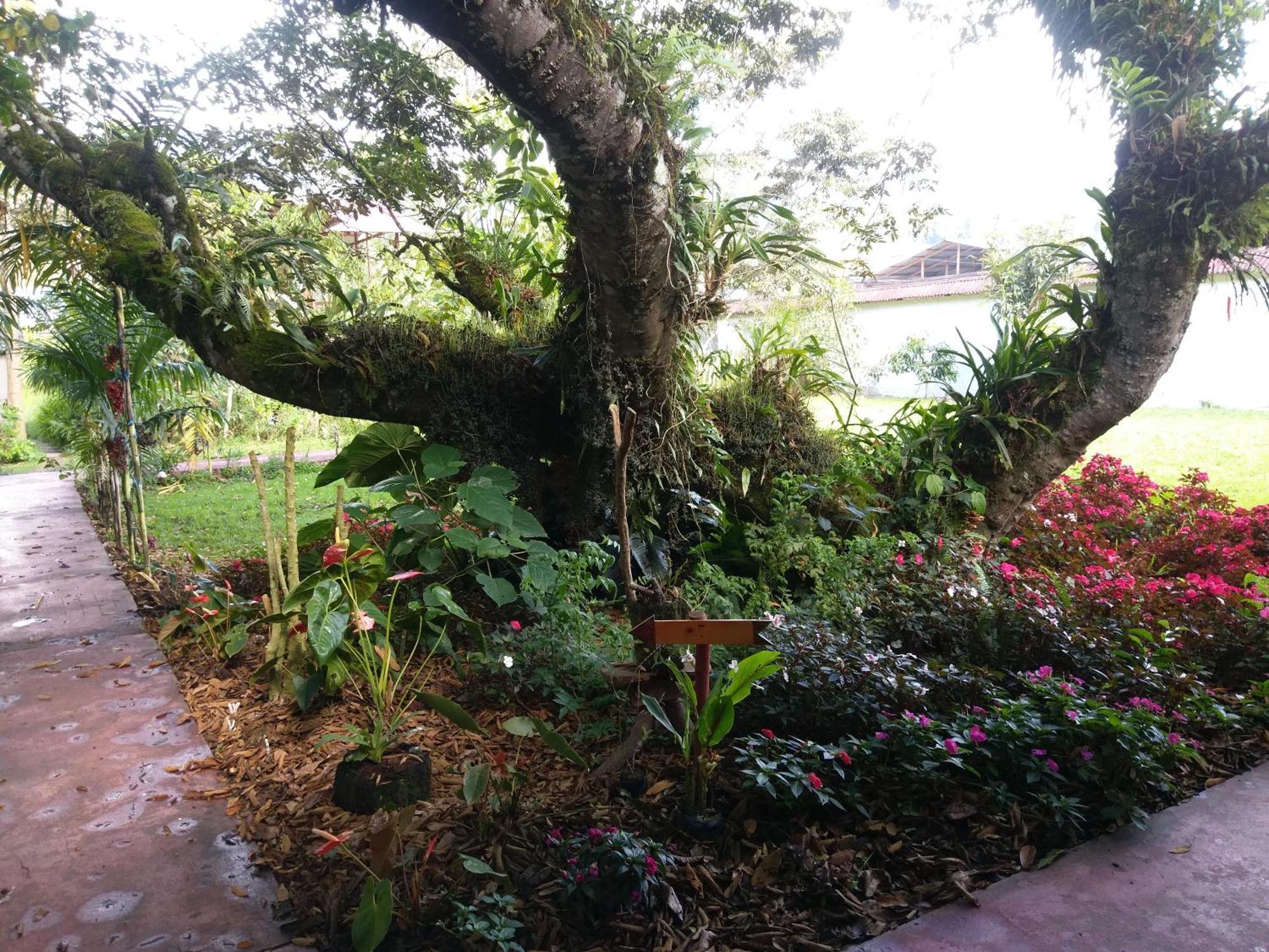 Villa Refugio De Orquideas Oxapampa Esterno foto