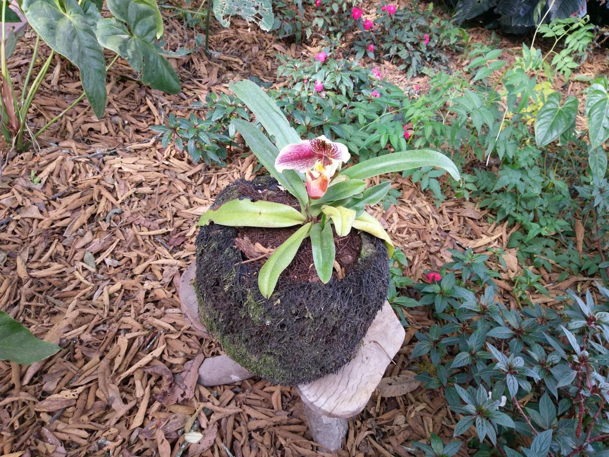 Villa Refugio De Orquideas Oxapampa Esterno foto