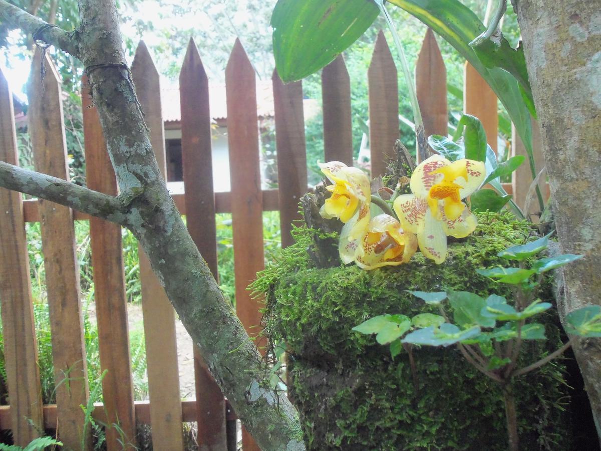 Villa Refugio De Orquideas Oxapampa Esterno foto